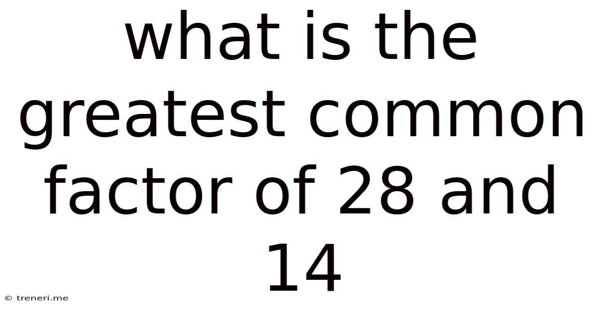 What Is The Greatest Common Factor Of 28 And 14