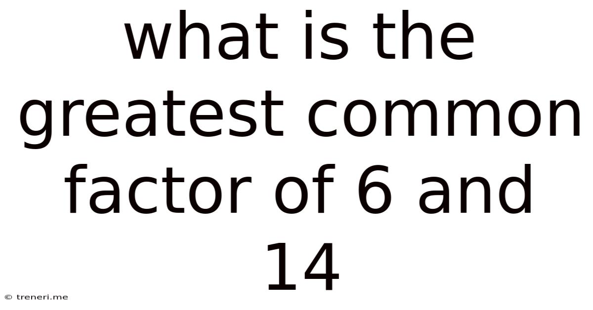 What Is The Greatest Common Factor Of 6 And 14