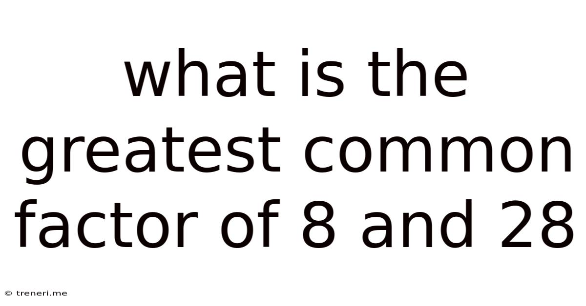 What Is The Greatest Common Factor Of 8 And 28