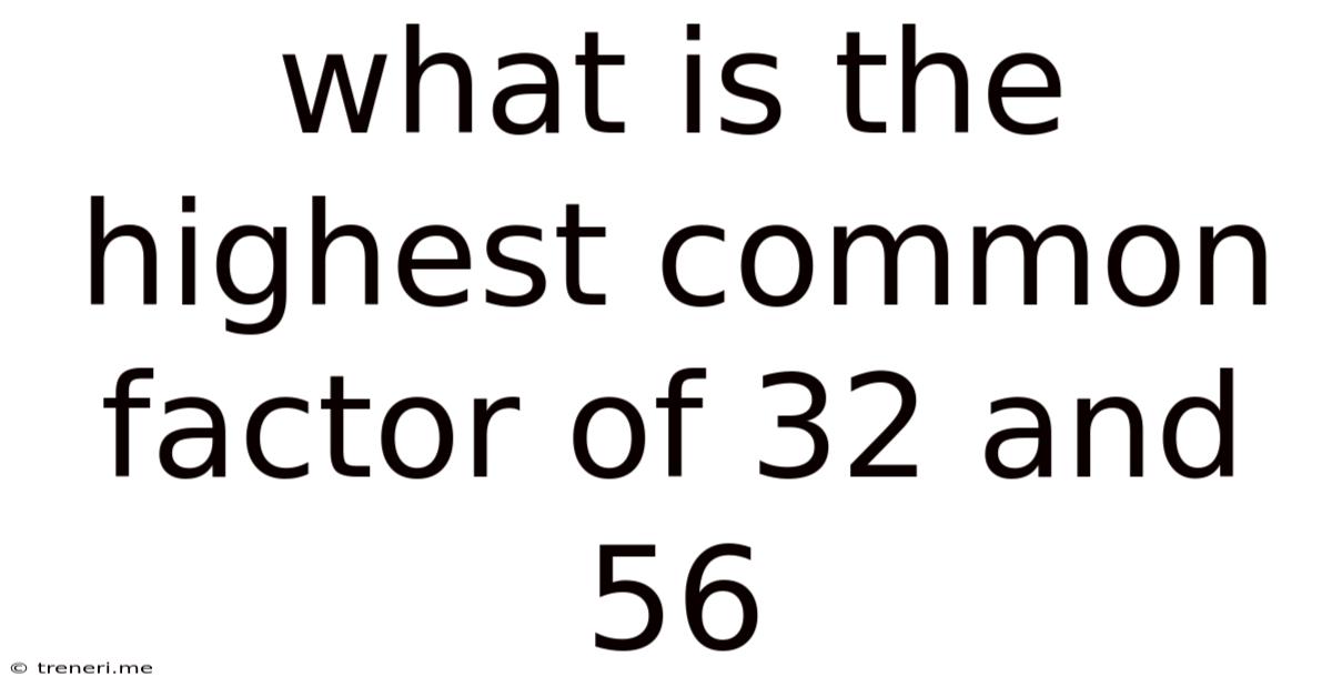 What Is The Highest Common Factor Of 32 And 56