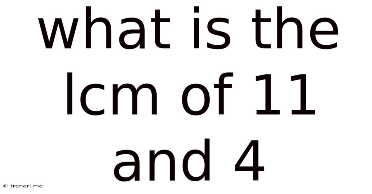 What Is The Lcm Of 11 And 4