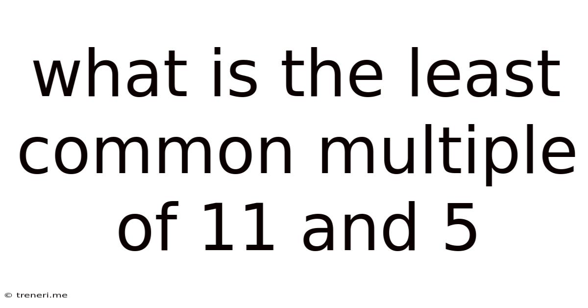 What Is The Least Common Multiple Of 11 And 5
