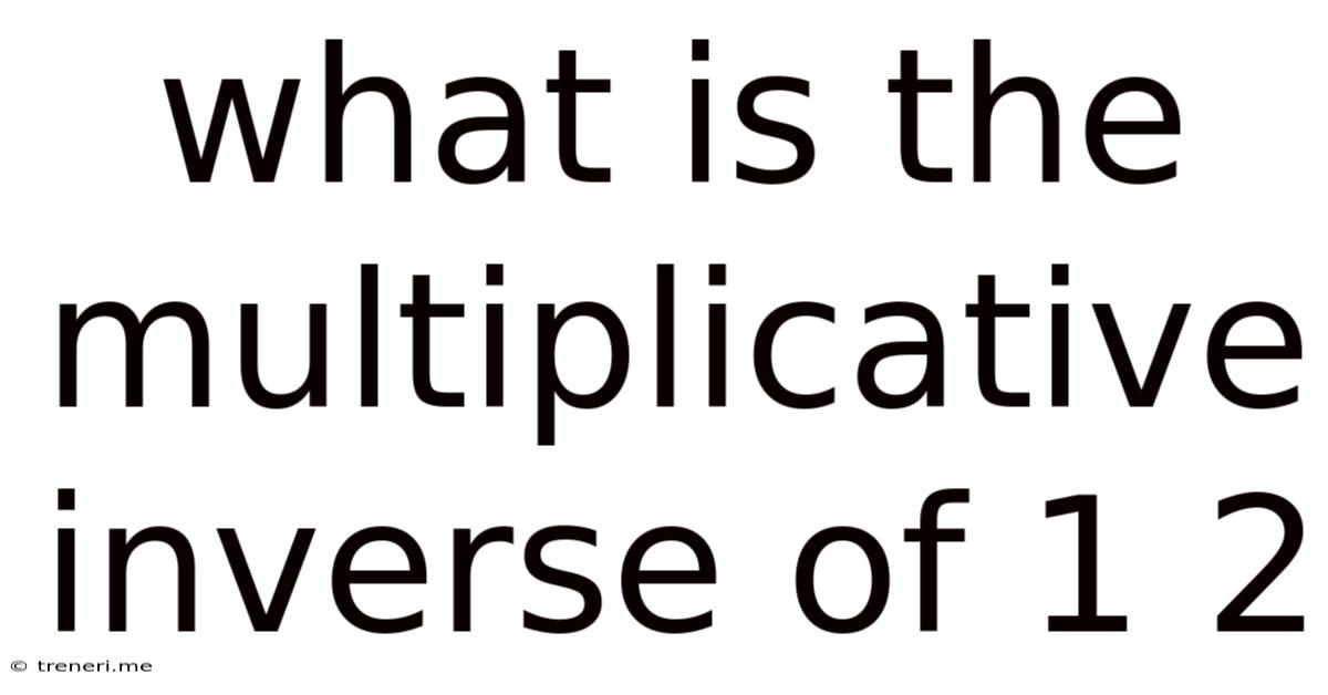What Is The Multiplicative Inverse Of 1 2