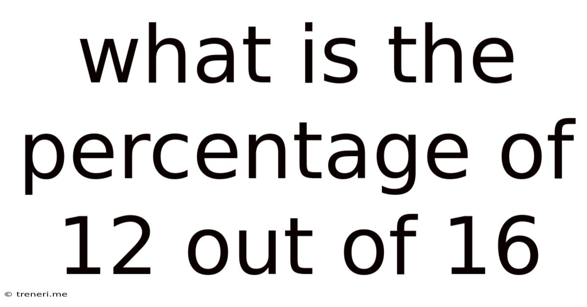 What Is The Percentage Of 12 Out Of 16