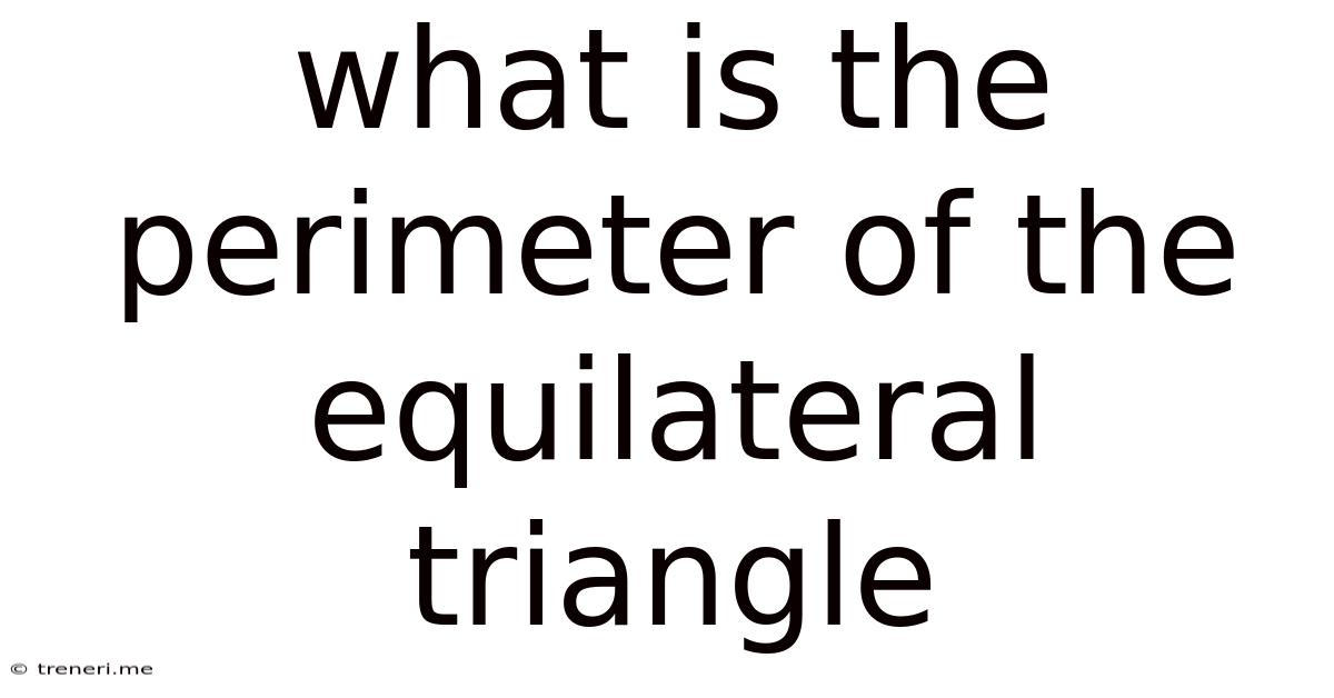 What Is The Perimeter Of The Equilateral Triangle