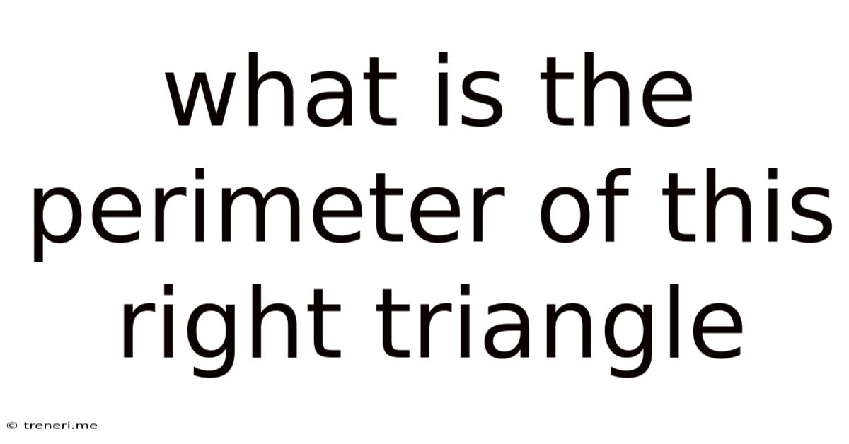 What Is The Perimeter Of This Right Triangle