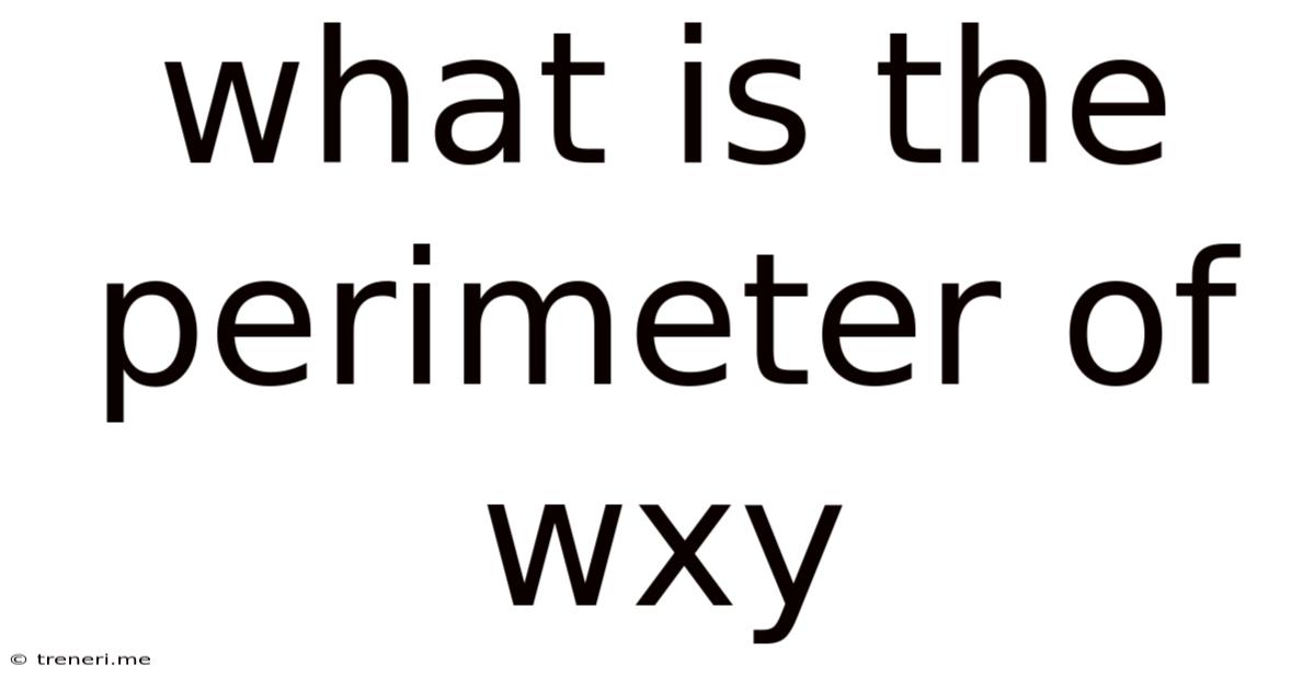 What Is The Perimeter Of Wxy
