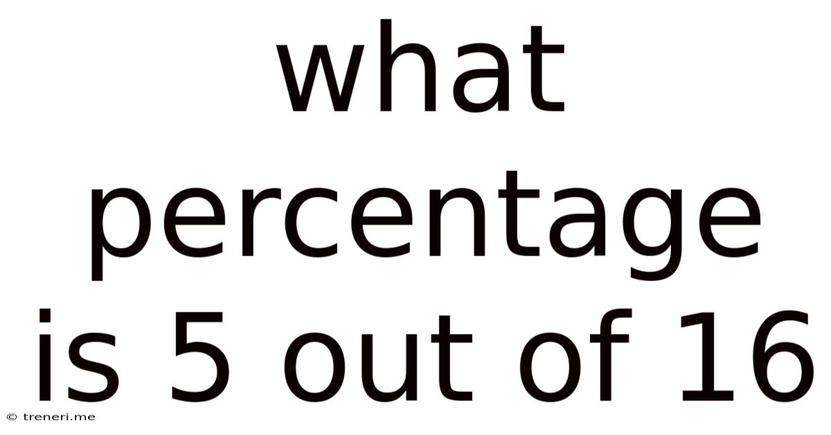 What Percentage Is 5 Out Of 16