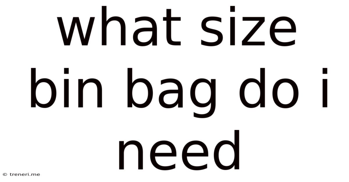 What Size Bin Bag Do I Need