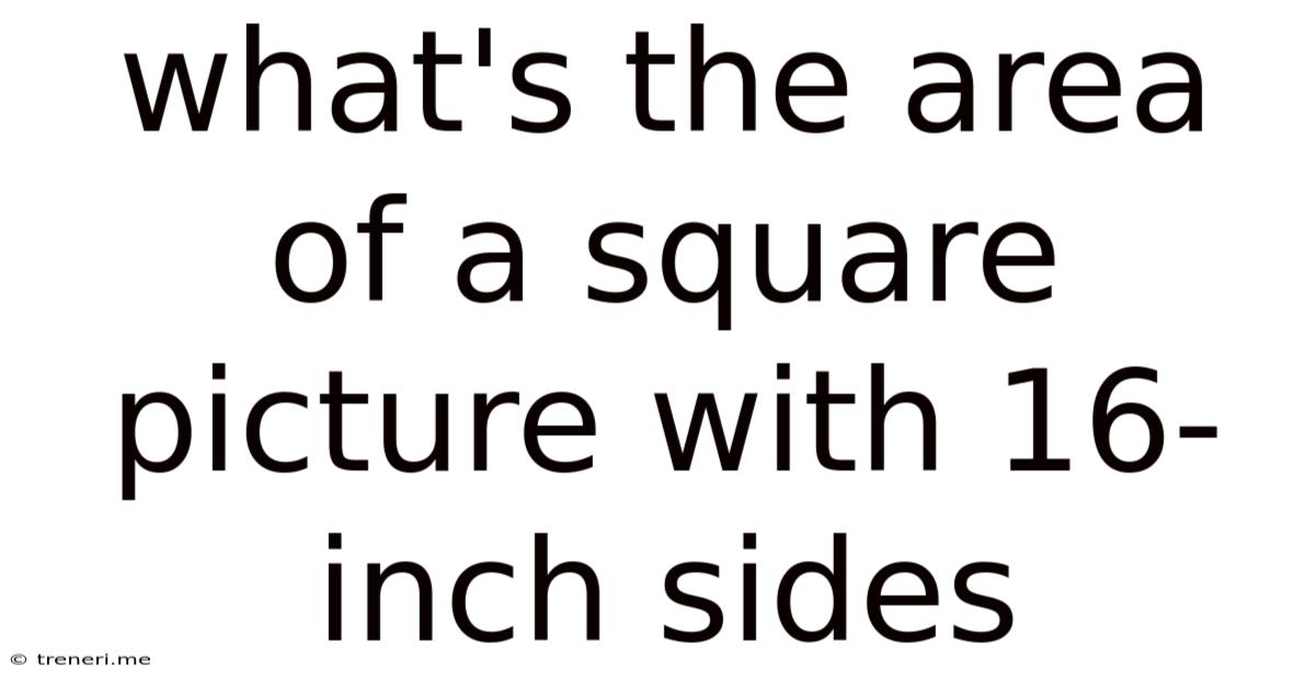 What's The Area Of A Square Picture With 16-inch Sides