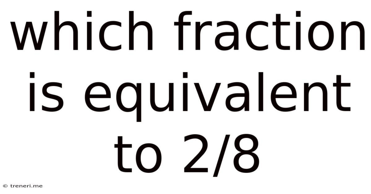 Which Fraction Is Equivalent To 2/8