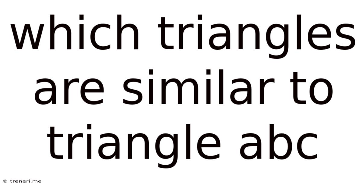 Which Triangles Are Similar To Triangle Abc