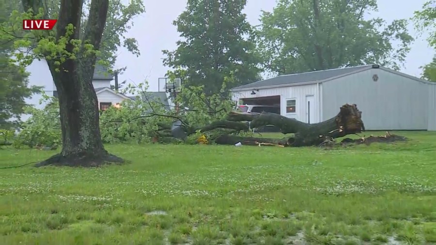Wildwood Storm: Trees Toppled By Powerful Winds