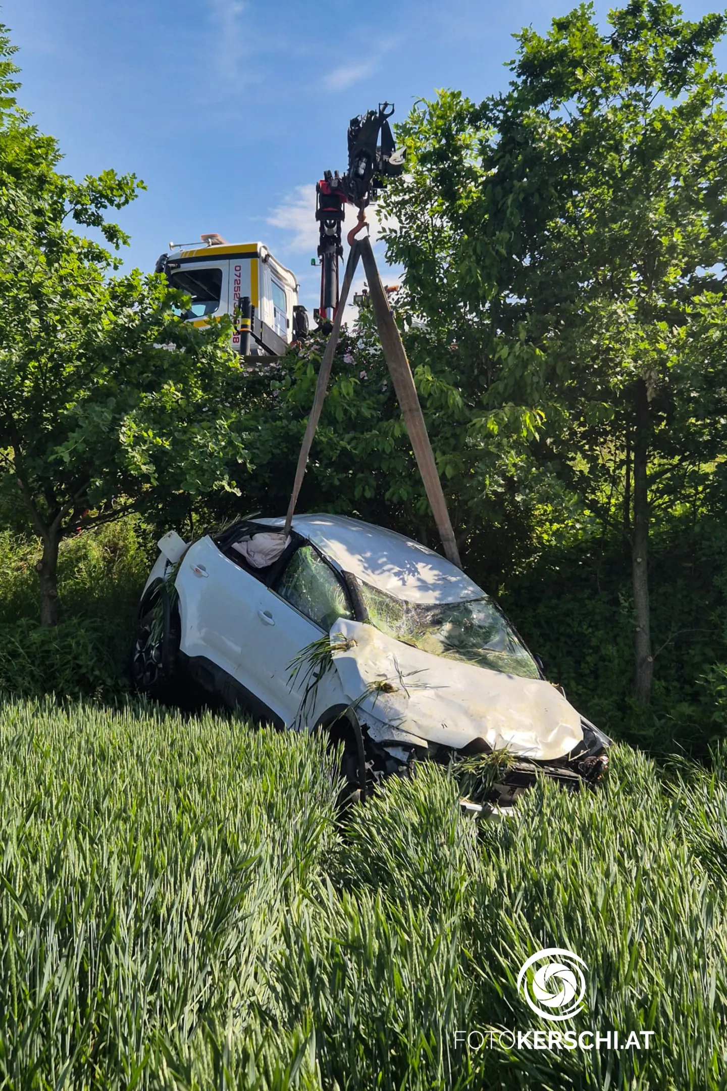 Wolfern L564 Car Crash: Driver Injured